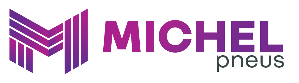MICHEL DE MATTOS - ME
